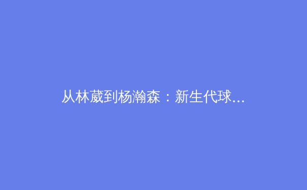 从林葳到杨瀚森：新生代球员如何改写中国篮球基因图谱 - 2