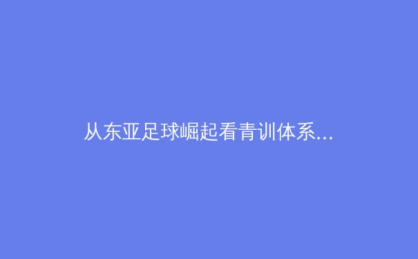 从东亚足球崛起看青训体系变革：技术流如何重塑亚洲足坛格局 - 4